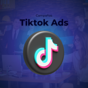 TikTok Ads